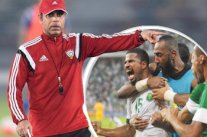 مدرب الإمارات ينتصر على الشائعات ويتفرغ 