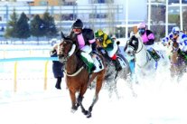 12 فارس وفارسة يتنافسون على الجولة الختامية لمونديال