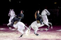 احتفاء ثقافي بالفروسية في الدورة التاسعة بالمغرب