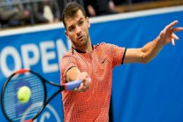 ديميتروف إلى ربع نهائي دورة ستوكهولم وخروج مونفيس