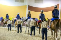 منتجع الفرسان الدولي يستعد لاستضافة بطولة الشراع الدولية للفروسية