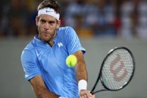 دل بوترو إلى نهائي دورة ستوكهولم على حساب ديميتروف