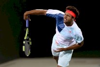 تسونغا وكارلوفيتش إلى نصف نهائي دورة فيينا