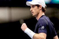 فيرر ينسحب ويمنح موراي بطاقة نهائي دورة فيينا