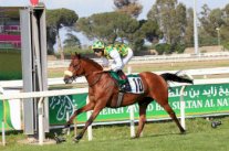 قرعة ساخنة لختام النسخة الـ8 لمهرجان منصور بن زايد للخيول