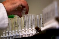 وزارة الرياضة الروسية تنفي وجود أي برنامج تنشط بإدارة الدولة