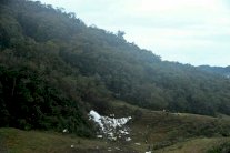 كولومبيا تطلق اسم 