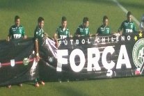 إيقاف لاعب بتهمة إساءة السلوك خلال تكريم شابيكوينسي