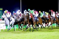 660 ألف درهم جوائز أشواط سباق أبوظبي للفروسية