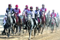 إيقاف 10 فرسان ومدربين إماراتيين وتجميد سباقات القدرة لأسبوع