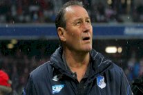 مشكلات في قلب مدرب هوفنهايم تؤدي إلى استقالته