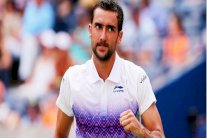 سيليتش بصعوبة إلى ربع نهائي دورة روتردام