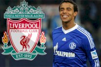 ليفربول يفوز بمعركته مع شالكه ويظفر بخدمات الكاميروني ماتيب