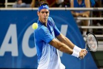 دل بوترو إلى ربع نهائي دورة ديلراي بيتش