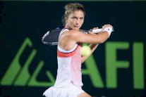 إيراني وفوزنياكي إلى ثاني أدوار مونتيري