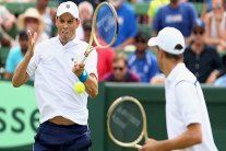 كأس ديفيس: الشقيقان براين يتغلبان على هويت اللاعب والمدرب