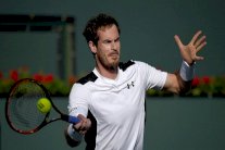 خروج جماعي للمصنفات ولا مشكلة لموراي وفافرينكا