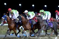 500 ألف درهم جوائز السباق التاسع للخيول في العين