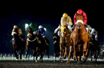 12 جواد يتصارعون على الشوط الأغلى لكأس دبي العالمي