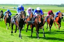 خيول غودلفين تظهر في أستراليا من خلال 12 سباقاً في مايو المقبل