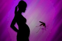 منظمة الصحة العالمية تطلب من الحوامل عدم الذهاب الى البرازيل