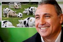 ستويشكوف يشبه لاعبي ريال مدريد بالخنازير !