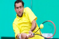 سيليتش بصعوبة إلى ربع نهائي جنيف وخروج حامل اللقب