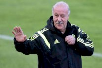 دل بوسكي لاستعادة ثقة الإسبان بعد خيبة مونديال البرازيل