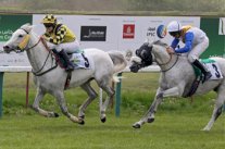 6 سباقات لكأس الوثبة ستد في هارفورد بإنكلترا