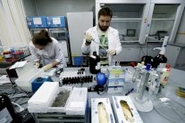 روسيا تطلق حملة لتعليم مكافحة المنشطات في المدارس