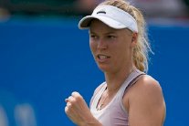 دورة ايستبورن: فوزنياكي إلى الدور الثاني