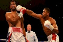 بطولة العالم للملاكمة: جوشوا يحتفظ بلقبه في الوزن الثقيل