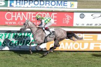 خيول منصور بن زايد تخطف الأضواء في فرنسا