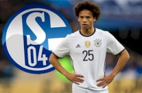 شالكه يطالب جوهرته ساني بحسم مصيره بعد كأس أوروبا