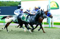 كأس زايد يستقطب 24 خيلاً يفوق تصنيفها 100 رطلاً