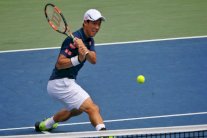 فافرينكا يلحق بنيشيكوري إلى ربع نهائي دورة تورونتو