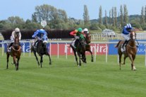 8 سباقات تحتفى بالنسخة الـ35 من سباق دبي للخيول في نيوبري