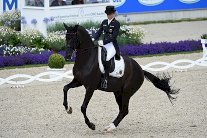 ألمانيا من أجل العودة إلى الصف الأول ومشاركة عربية غير مقلقة