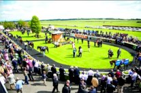 بلجيكا تستقبل أولى جولات كأس رئيس الإمارات للخيول العربية بأوروبا