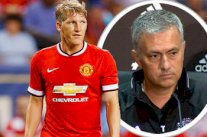 عشاق شفاينشتايغر يدشنون 