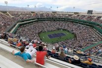 دورة سينسيناتي.. آخر المحطات المهمة قبل فلاشينغ ميدوز