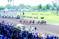 مهرجان منصور بن زايد للخيول العربية الأصيلة يصل إلى بولندا