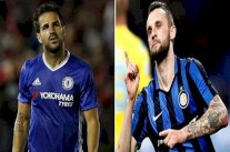 فابريغاس وبروزوفيتش في صفقة تبادلية بين تشيلسي وإنتر ميلان