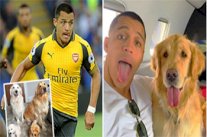 صفحة رسمية لـ