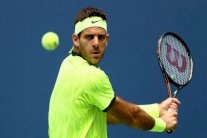 تأهل دل بوترو وموراي وفافرينكا إلى ربع النهائي وتألق سيرينا