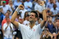 فافرينكا يقف بين ديوكوفيتش ولقبه الثالث في نيويورك