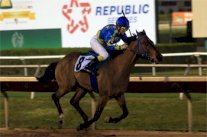 مهرجان منصور بن زايد للخيول يواصل رحلته المكوكية حول العالم