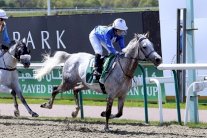 تحدي عربي للفوز بالجولة الخامسة لمونديال 