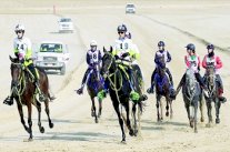 تغطية استثنائية لكأس بن راشد للقدرة من