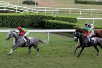 مهرجان منصور بن زايد للخيول يتجول في 90 دولة